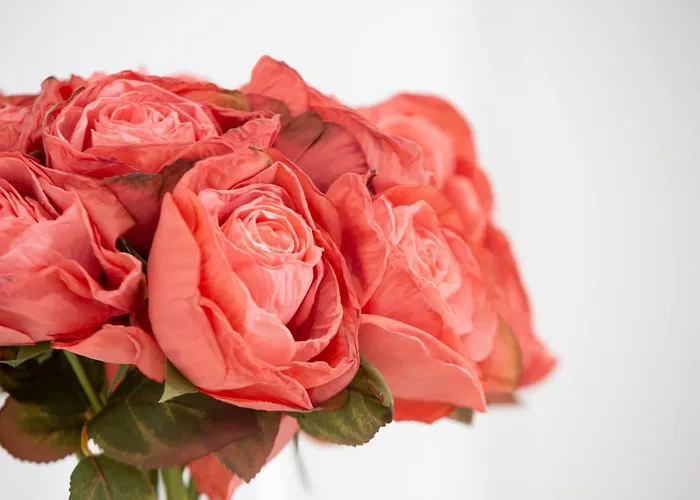 Delmar I Apartment *